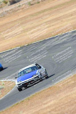 media/May-06-2023-Lucky Dog Racing (Sat) [[8f2256f436]]/Turn 2 10a/